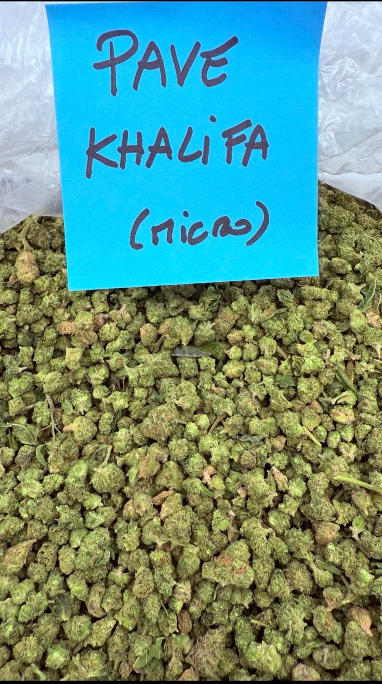 Pave Khalifa